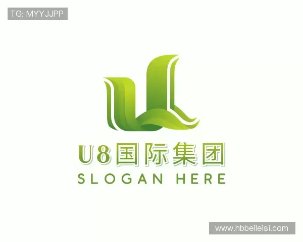 介绍U8国际集团