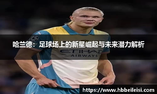 星空体育综合官网