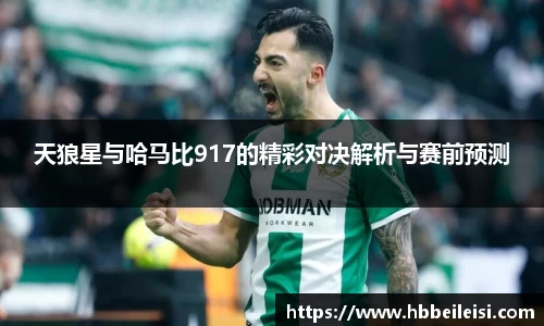 天狼星与哈马比917的精彩对决解析与赛前预测